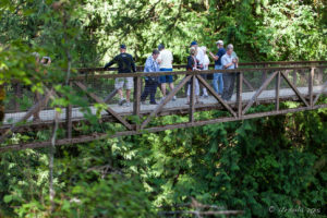 Tourists on the bridge over the Englishman River Falls, Parksville BC Canada