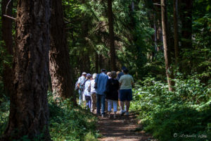 People on a forested path, Brickyard Community Park, Nanoose Bay BC Canada