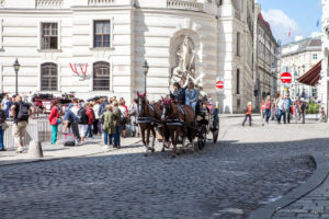 Horses and carriage, Vienna Street, Austria