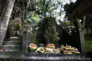 Trays of offerings in a mossy wall shrine, Ubud, Bali