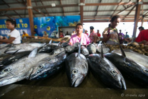 fish for sale, Koki Fish Market, Port Moresby PNG