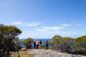 Walkers enjoying the view over the Pacific, Bournda NP, AU