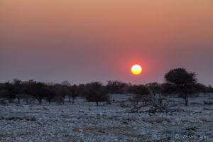 Red sunset on the veld, Etosha National Park, Namibia.