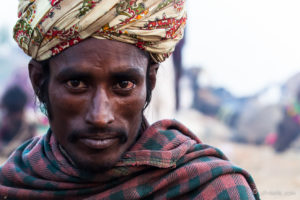 Closeup of an Indian man in a Cream Turban, Pushkar Fair Grounds, Rajasthan