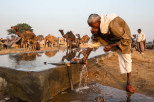 Man Drinking from a tap, Pushkar Fair Grounds, Rajasthan