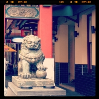 Morning Run, Chinatown