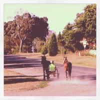 Back in time... Sulky Morning