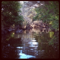 Afternoon Waterways