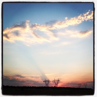 The Power of the Sunset