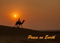 Camel-Riding-1(pp_w400_h290)