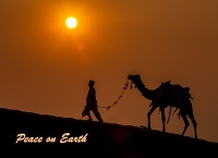 Camel-Walking(pp_w200_h145)