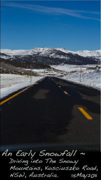 window36-kosciuszko-road