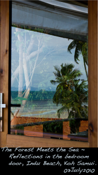 window45-koh-samui