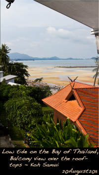 window50-koh-samui