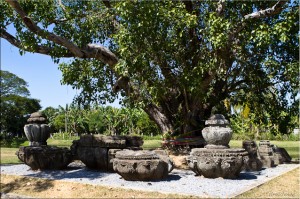 Landscape of Bodhi Tree and stone Khmer sculptures, Prasat Ban Phluang