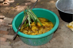Green plastic basin with leaves and soaking silk fibres