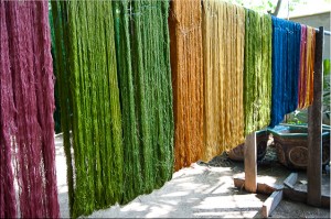 Lengths of died silk thread drying on a line