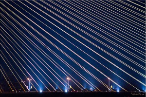 Rama VIII Bridge Cable Stays close up at night