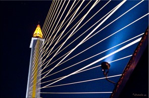 Rama VIII Lights and Cable Stays at night