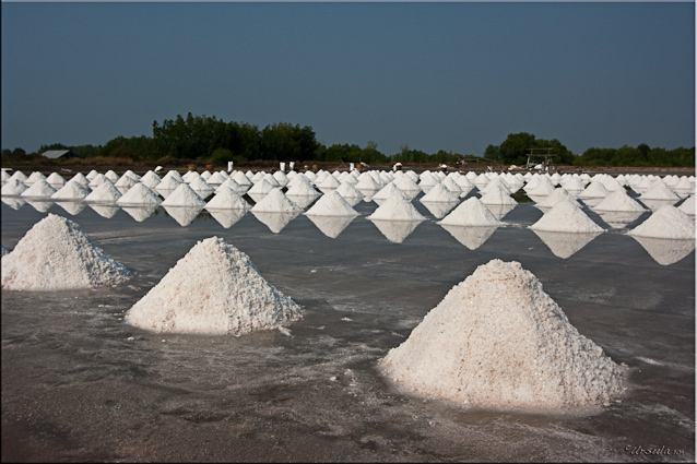 Piles of salt in the sunshine