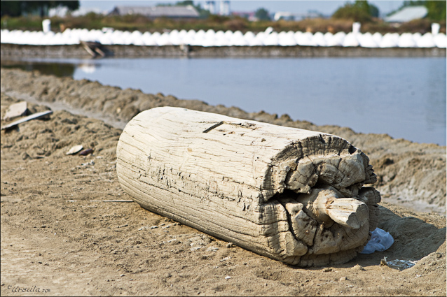 Large wooden roller at the salt pans, Samut Sakorn