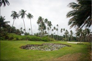 Lotus pond on the Greg Norman Laguna Golf Course, Bintan