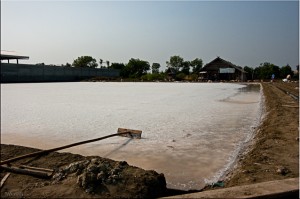 Wooden rake on salt pan