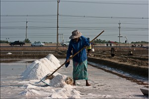 Thai woman raking salt