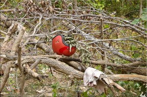 Red helmet in the bushes: Ban Sivilai, Laos