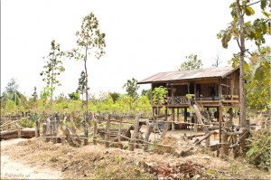Wooden home on stilts, under construction, Ban Sivilai, Laos