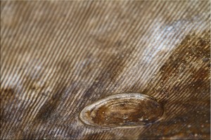 Close-up: Rolled Rubber with bubble imprint