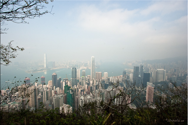 Wide-angle Landscape: Midlevel High-rises from The Peak, Hong Kong