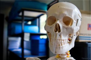 Anatomical Skeleton head and yoga supplies