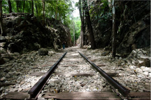 Short section of rail track in the jungle