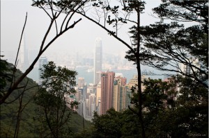 View of Hong Kong high rises form the The Peak Circle Walk
