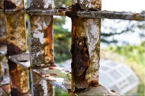 Close-up Rusty Gate