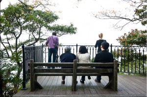 Bench on the Peak Circle Walk