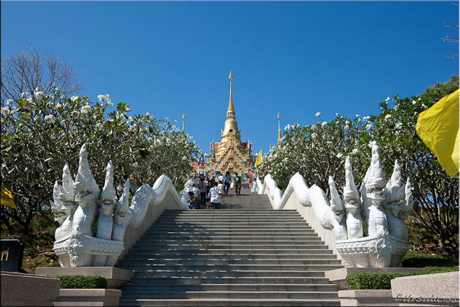 The wide naga staircase up to Wat Thang Sai