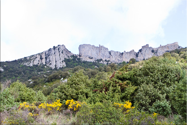 Rocks and castle ruins above spring shrubs