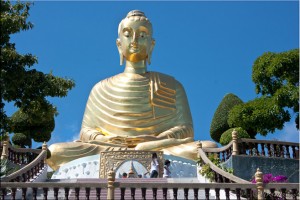 Seated Golden Buddha, Wat Thang Sai