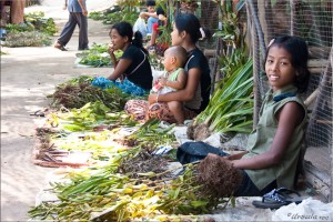 Burmese Orchid Sellers sitting on the ground Waiting for Customers