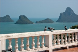 Pigeons on a rail overlooking Prachuap Khiri Khan