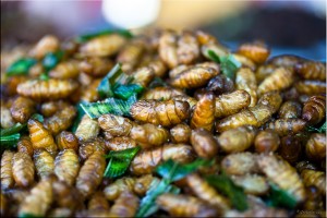 Fried Chrysalis ~ Thai delicacy
