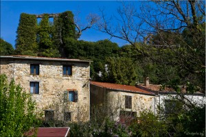 Street Scene, Camps-sur-l'Agly Stone Houses