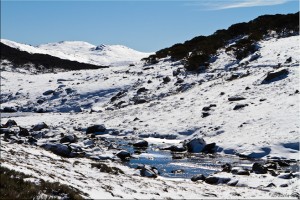 Ice and snow around Spencers Creek, Kosciuszko
