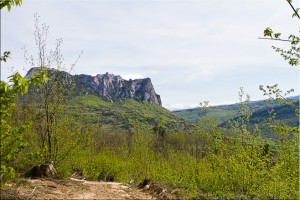 Dirt path, green foliage and view of Pech de Bugarach