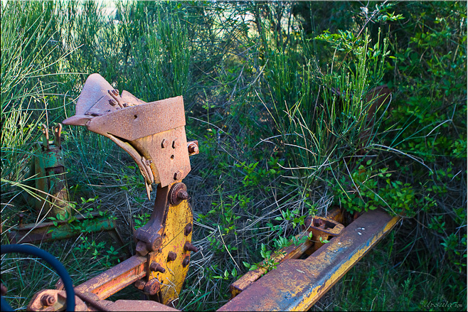 Portion of rusted plow against greenery
