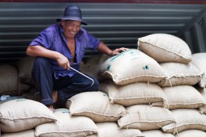 Thai man in the back of a delivery truck, delivering 50 pound hessian bags.