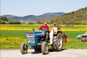Old man in a red jumper and overalls on his blue tractor.