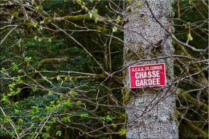 Red sign on a tree trunk in front of a tangle of branches